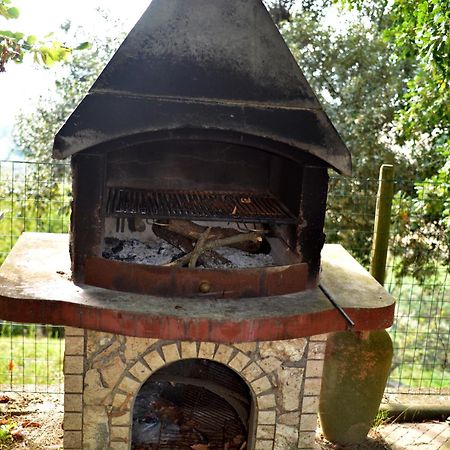 Agriturismo Podere Biancospino Piscina Privata Chianciano Terme Exteriör bild